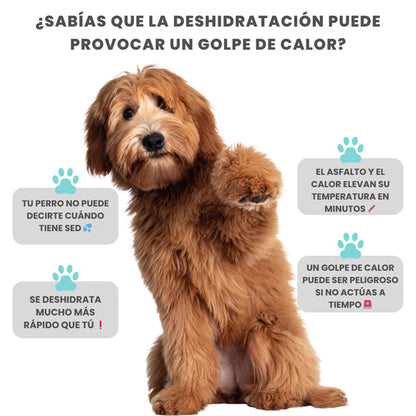 Botella portátil 2 en 1 para perros